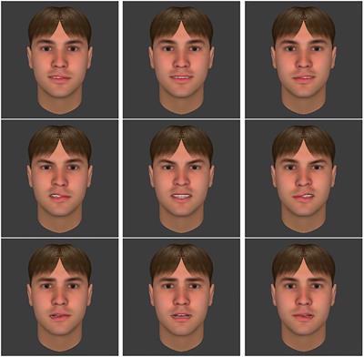 The Influence of Facial Asymmetry on Genuineness Judgment